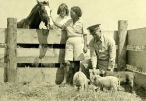 My grandmother's retired circus horses