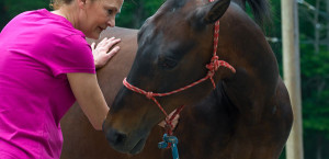 A client 'checks in' with Jodie